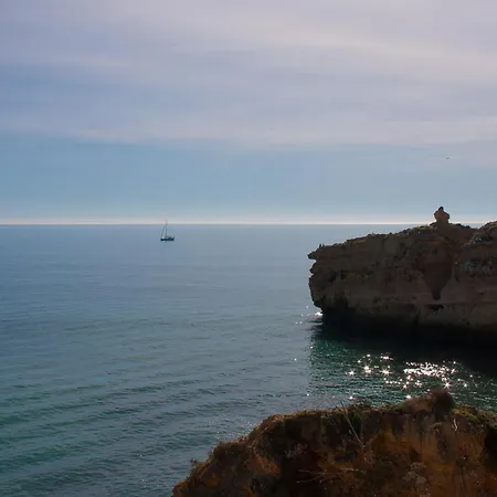 Daire Rosal Margarida